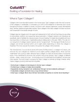 CollaVET-2