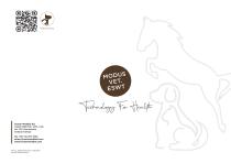 Modus ESWT Veterinary-7