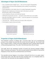 Hypro-Sorb ® M Membranes pure crystalline Atelo-Collagen Type I-3