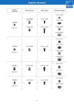 Product catalog extra oral-13