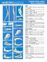 2016 A Division of Pacific Research Laboratories, Inc. WWW.SAWBONES.COM VETERINARY SURGICAL SKILLS MODELS-5