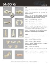 Veterinary Surgical Skills Models-5