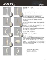 Veterinary Surgical Skills Models-9