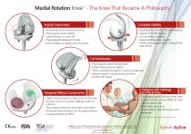 Natural Asymmetry, Complete Stability and Full Mobilisation.-2