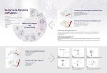 SARS-CoV-2 Antigen Test Kit (Colloidal Gold) Catalog-2