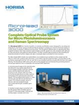 MicroHead 3000-2
