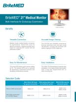 BriteMED Endoscopy Display MMS-21CAHS - 1