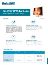 BriteMED Endoscopy Display MMS-27CA - 1