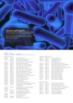 PCR Reagent Kits-4