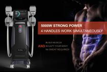 NUBWAY BUILD MUSCLE EMS IV PRO-1
