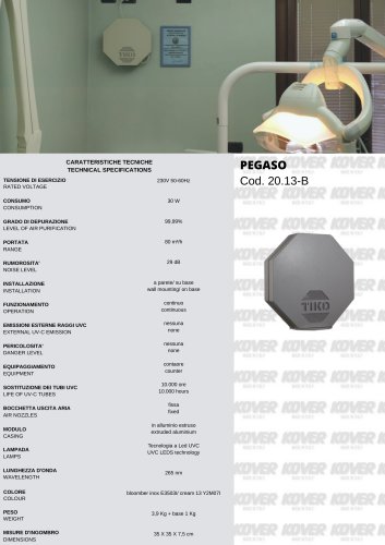 PEGASO 20.13-B