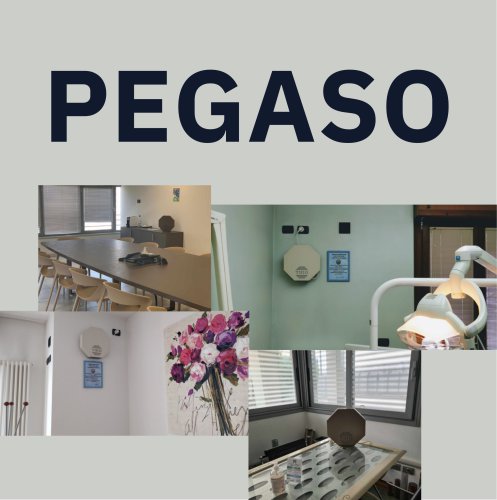 PEGASO CATALOGUE
