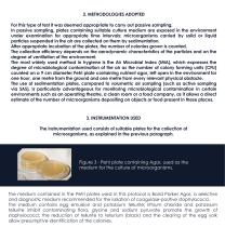 PEGASO CATALOGUE-5