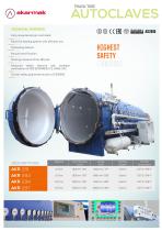 OTR TIRE AUTOCLAVES-4