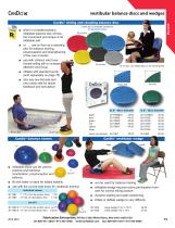 vestibular balance discs and wedges-1