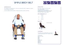 Simple Birdy Belt-1