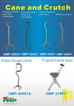 Cane and Crutches 2011-4