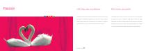 Brochure-6