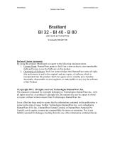 Brailliant - 2