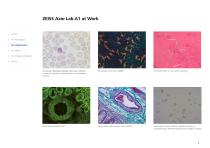 Axio Lab.A1-6