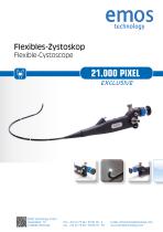 Flexibles Zystoskop