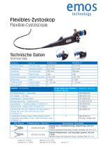Flexibles Zystoskop-2