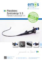 Flexibles Zystoskop / Flexible Cystoscope