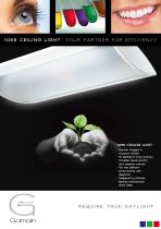 1065 Ceiling light-1