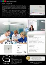 1065 Ceiling light-2