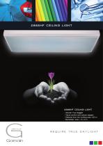 2865HF CEILING LIGHT-1