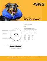 KONG® Cloud™ - 1