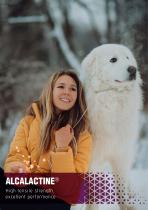 Veterinary Sutures Catalogue-16