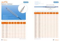 Balloon catheter - 2