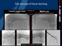 multi LOC Dr. Amendt LINC 2016 - 9