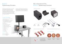 Bozzini Hysteroscopy Simulator-2