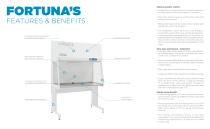 Fortuna - English version-4