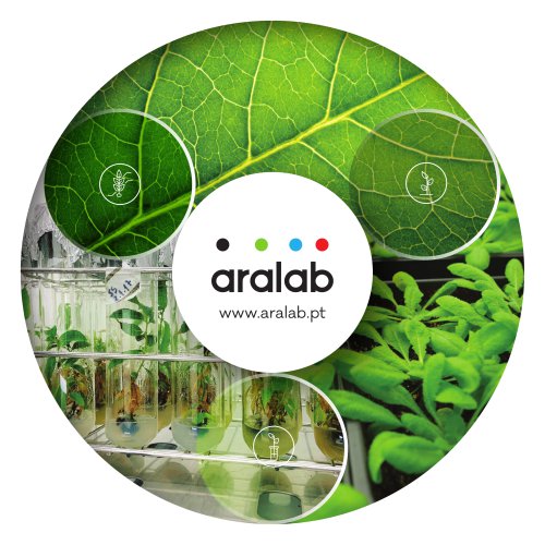 Bio