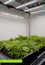 Climatic Chambers for Medical Cannabis-5