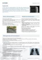 Legionella Control-2