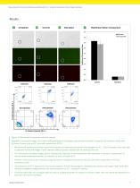 Measuring mitochondrial membrane potential with JC-1 using the Cellometer Vision image cytometer.-3