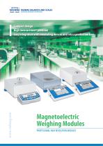 WEIGHING MODULES MAS, MPS - 1