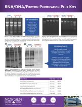 RNA/DNA/Protein Purification Plus Kits - 2