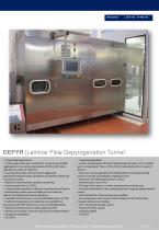 DEPYR Laminar Flow Depyrogenation Tunnel - 2