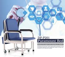 DP-P201 Paramount Bed - 1