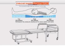 DP-P201 Paramount Bed - 5