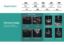 HandheldDualProbe ColorUltrasound-3