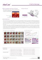 ChitoClot Bandage-2