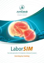 LABORSIM - 1