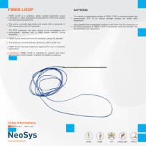 fiber loop-1