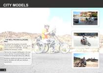Catalog_Stricker-4